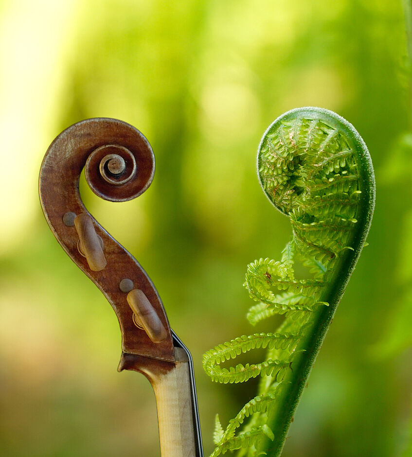 Gartenklänge: Klassik trifft auf botanische Schönheit