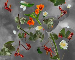 Worte zwischen Blättern: Literatur im Botanischen Garten