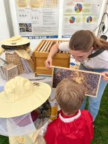 Am Himmel in Döbling sind wieder Wildbienentage