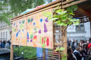 Rahlgasse blüht auf: Jugendliche schaffen grüne Auszeit-Oase