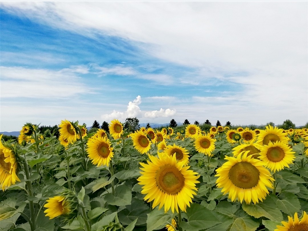 ORF extra sucht das schönste Wetterfoto Österreichs