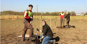 Rothneusiedl blüht auf: Frisches Obst zum Selberernten