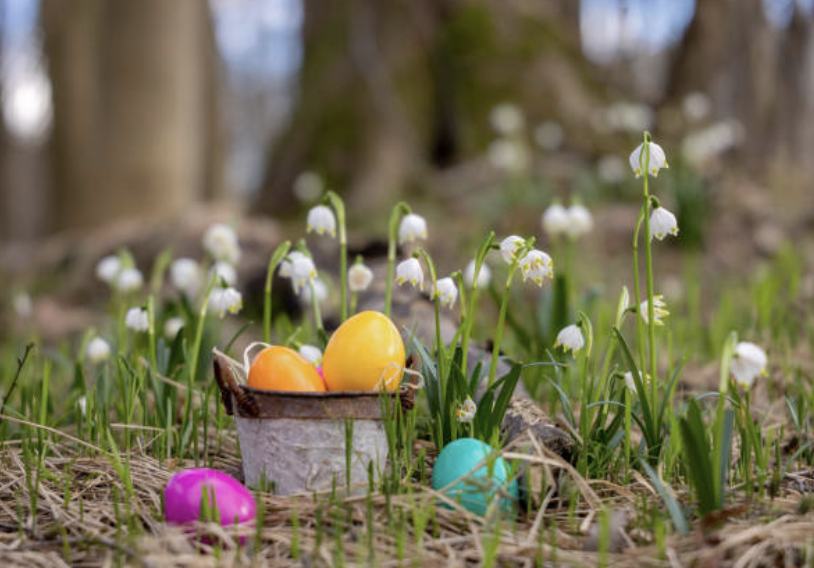 Bunte Eier, süße Nester und jede Menge Gefühl: Ostern!
