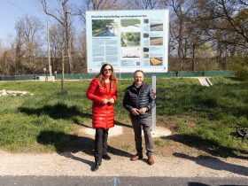 “Raus auf den Asphalt” in Liesing gegen Hitze in Wien