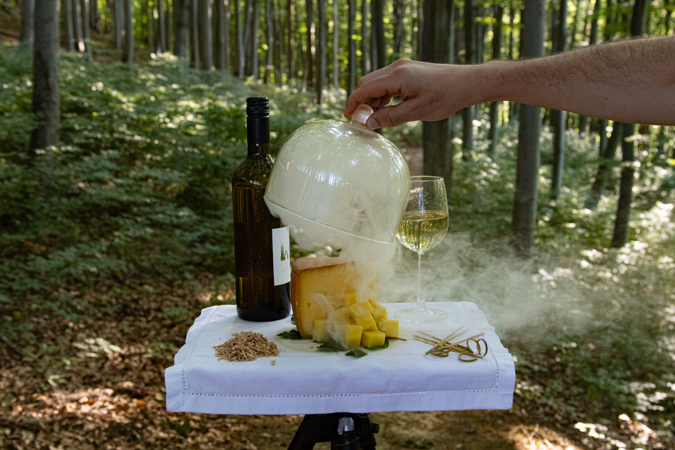 Der Wienerwald lässt sich mit allen Sinnen erleben