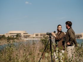 Osterkalender am 9. April: St. Martins Therme Lodge