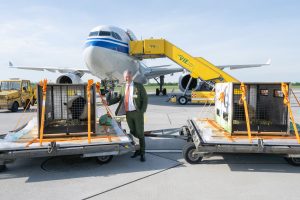 Zuckersüßer Zuwachs: Panda-Paar zieht in den Tiergarten ein