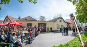 Hietzing: In Ober St. Veit wird der Maibaum aufgestellt