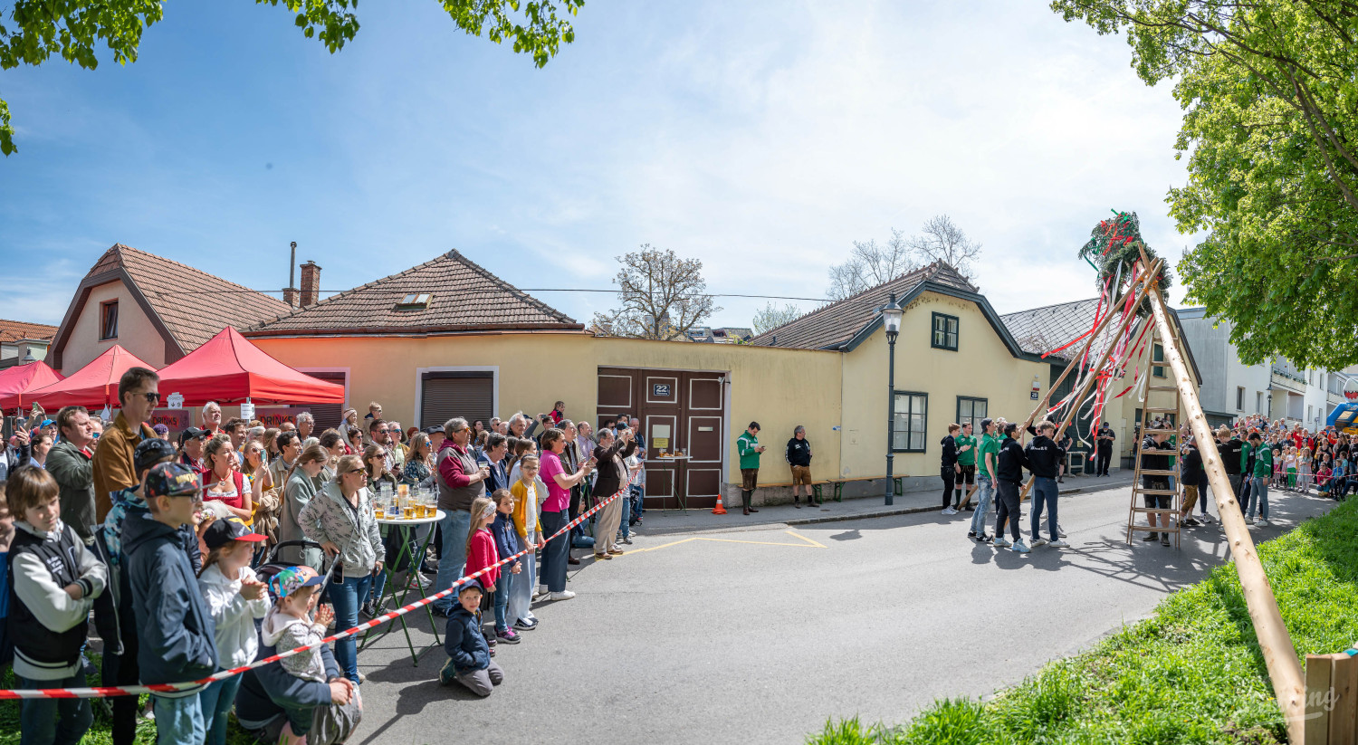 Hietzing: In Ober St. Veit wird der Maibaum aufgestellt