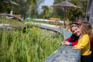 Natur entdecken und erleben: Zwei Tage der Artenvielfalt