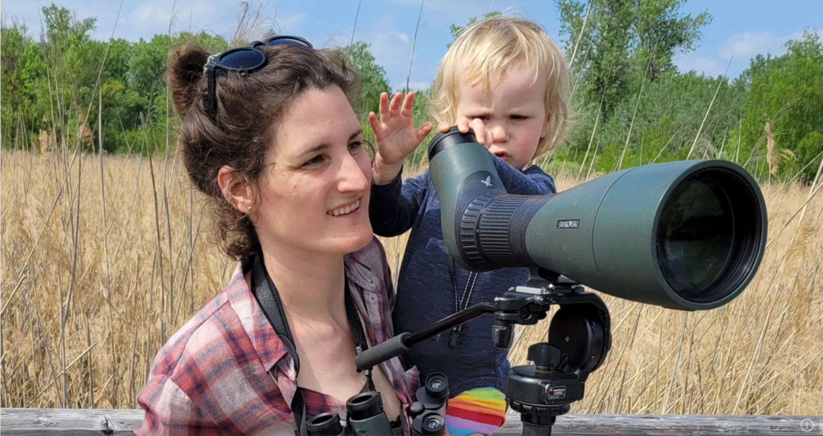 Das “Austrian Bird Race”: Alles was Flügel hat, zählt!
