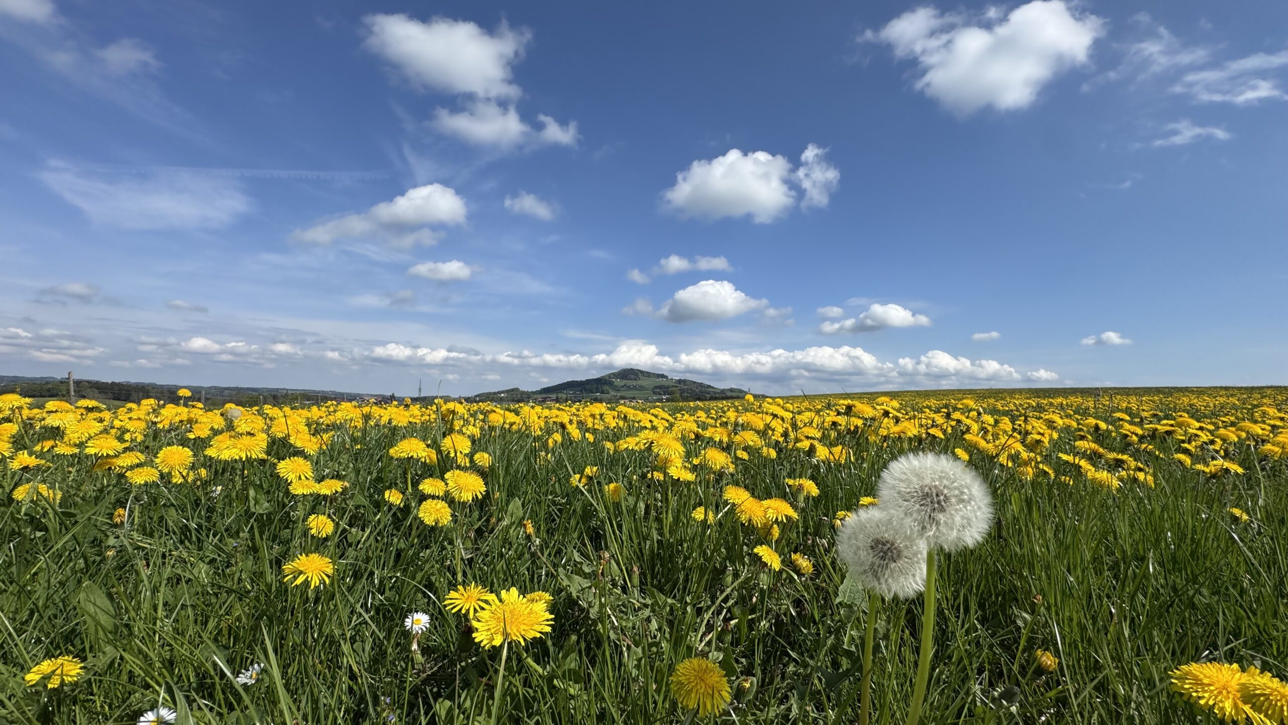 Wählen Sie das schönste Wetterfoto Österreichs