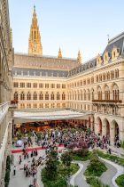 Rauschende Ballnacht: Oberösterreich feiert in Wien