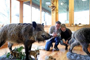 Wilhelminenberg: Tolles Erlebnis in der Waldschule