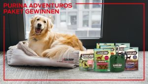 Mit Fellnasen ins Büro: Mit PURINA gemeinsam feiern & gewinnen