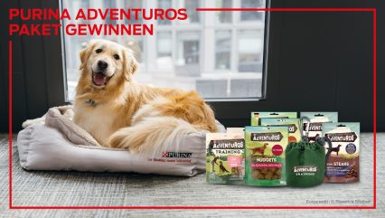 Mit Fellnasen ins Büro: Mit PURINA gemeinsam feiern & gewinnen