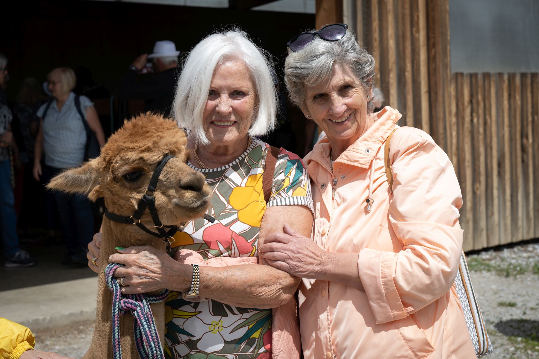 Sommerfreude trotz Hitze: So bleibt Wien für Senioren cool