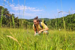 Der Tag der Artenvielfalt 2025 findet in Baden statt