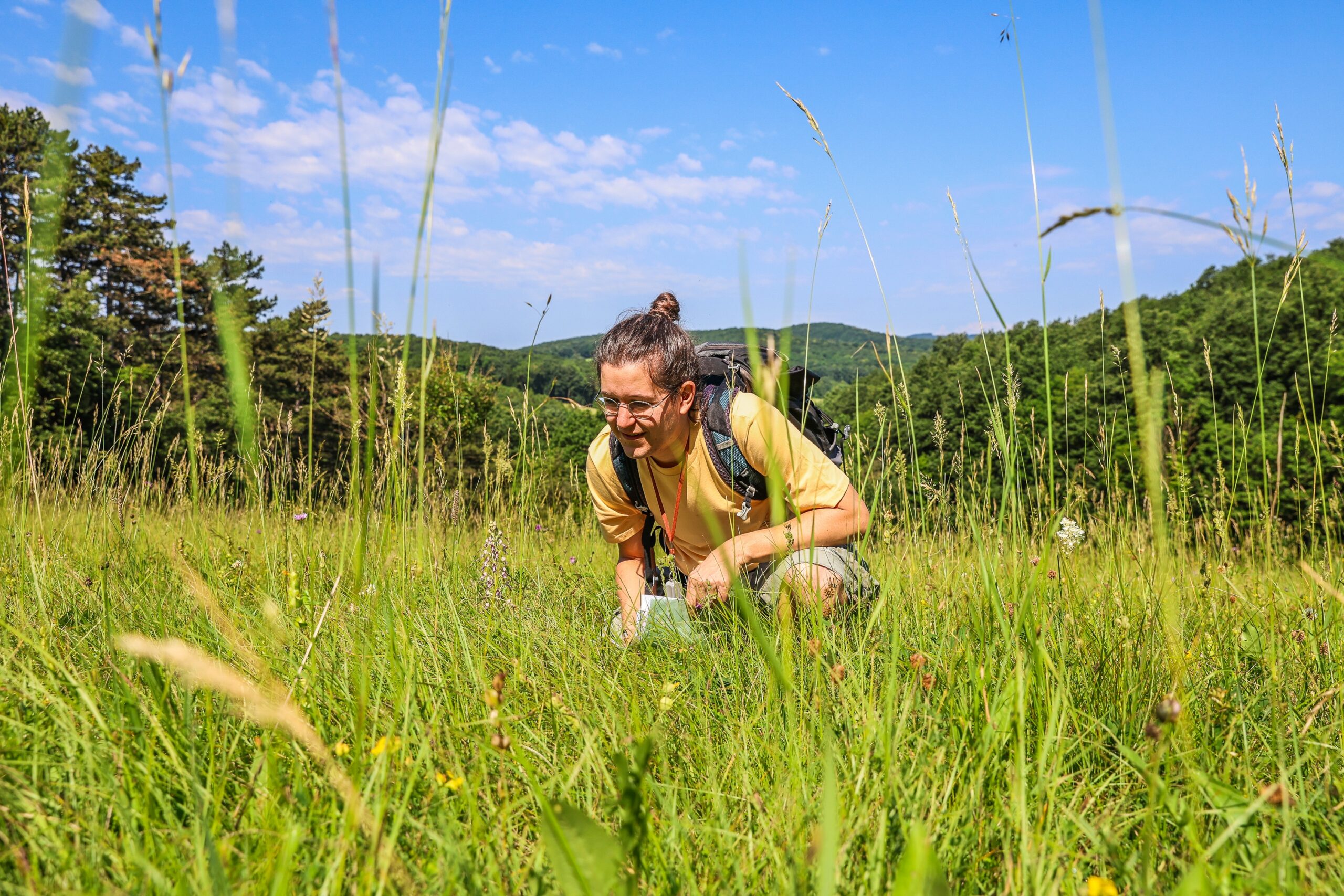 Der Tag der Artenvielfalt 2025 findet in Baden statt