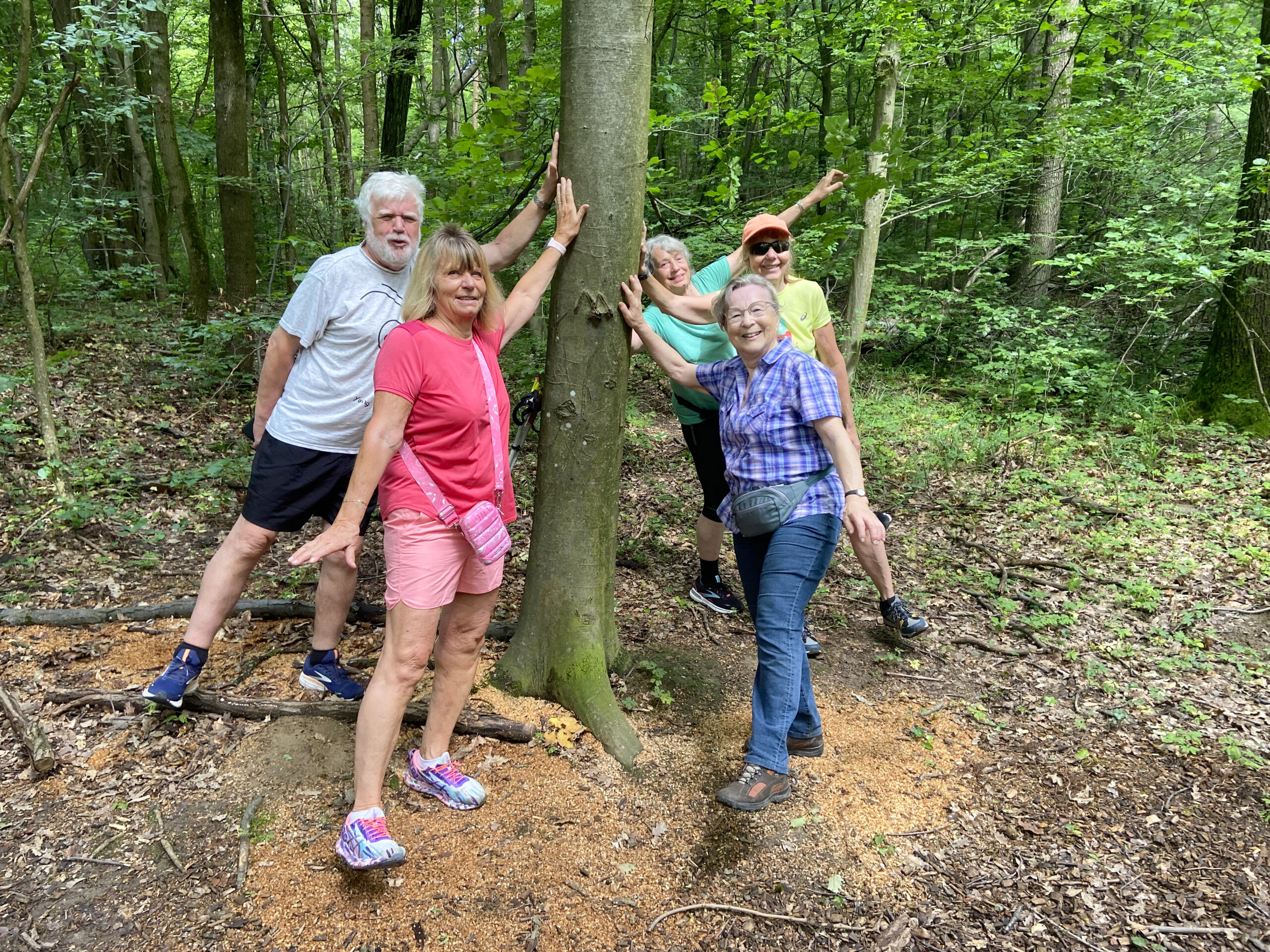 Fit-Geh-Treff: Ein sportlicher Fix-Termin zum Wohlfühlen