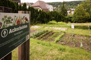 Urban Gardening am Friedhof: Gemüsebeete wachsen