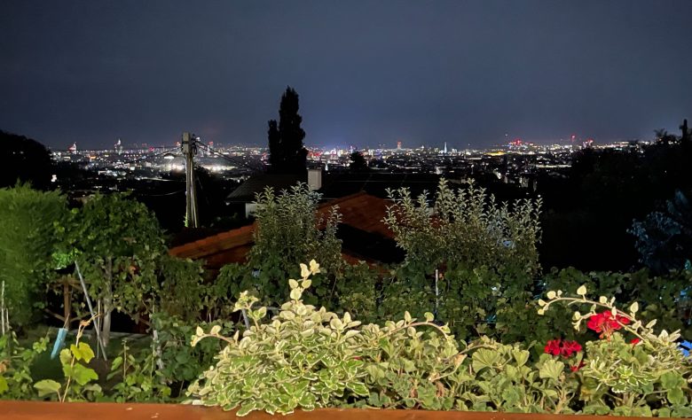 Eine Mega-Aussicht auf Wien bietet der Heurige Leitner am Wilhelminenberg (Bild: Steiner).