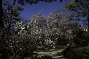 Die Lieblingsplätze unserer Leser im 19. Bezirk