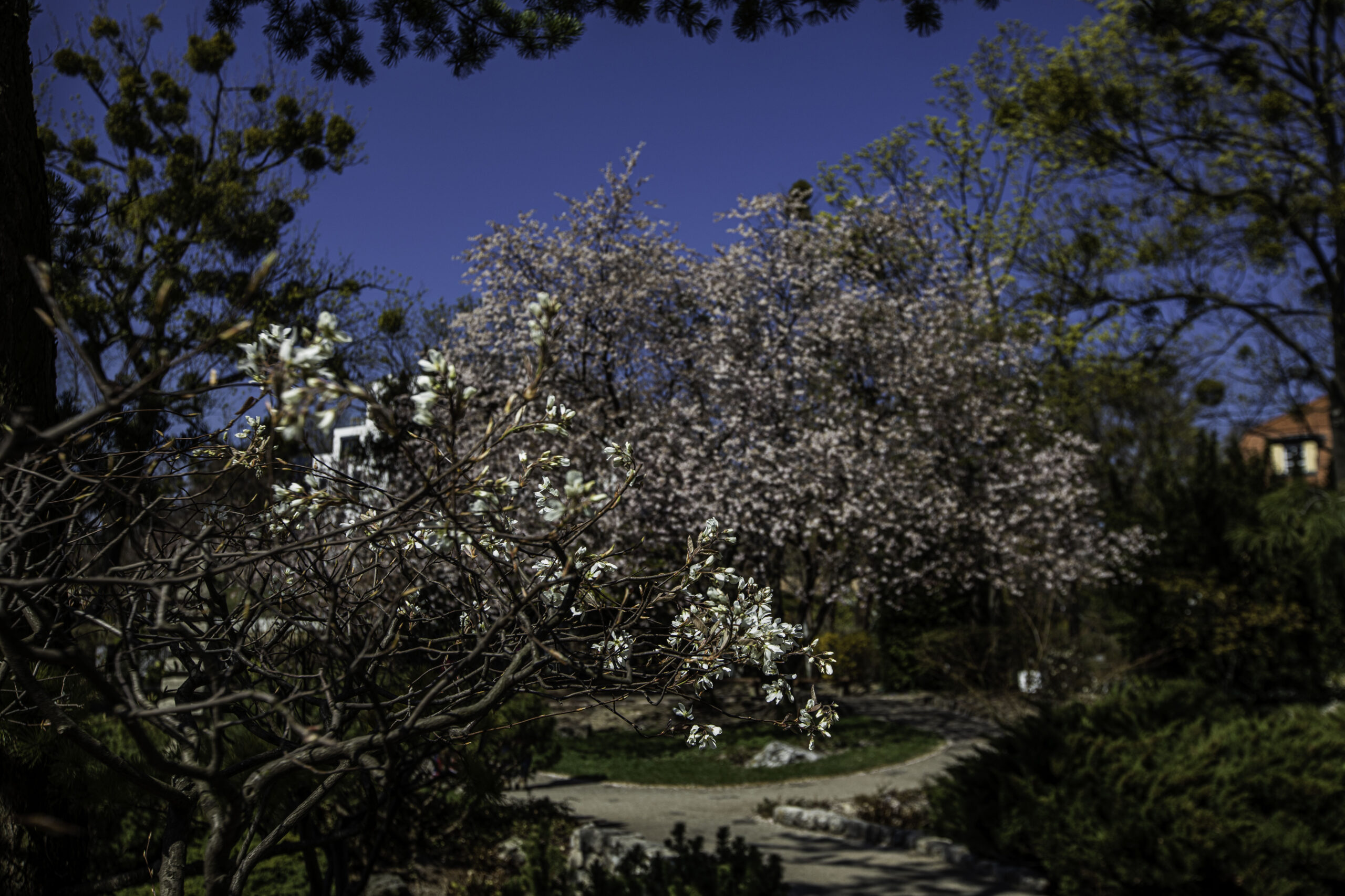 Die Lieblingsplätze unserer Leser im 19. Bezirk