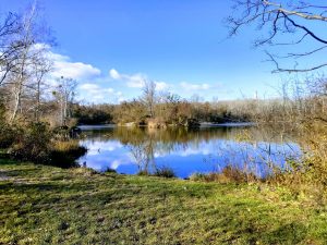 Die Lieblingsplätze unserer Leser im 22. Bezirk