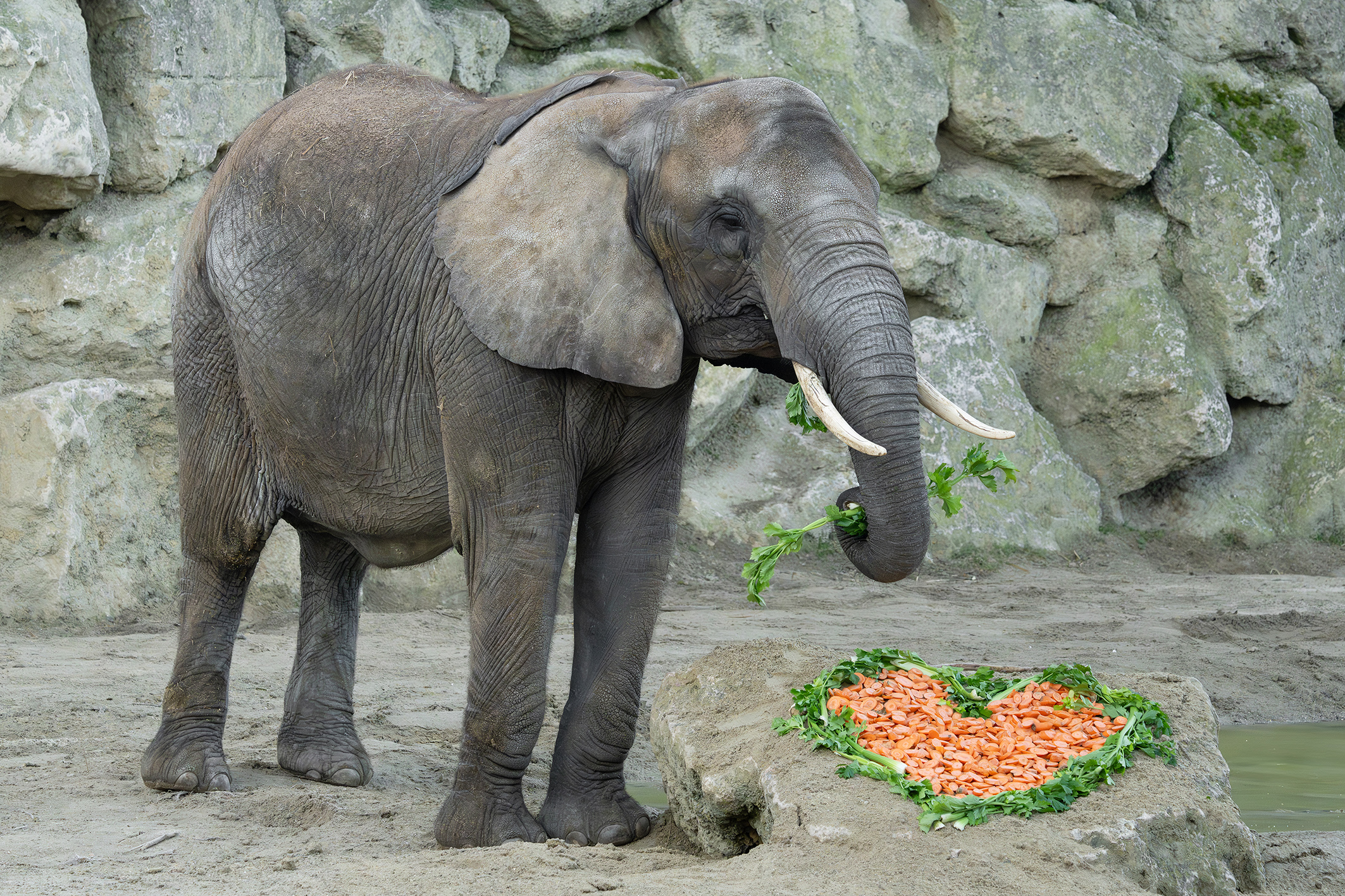 Die Lieblingsplätze unserer Leser im 13. Bezirk